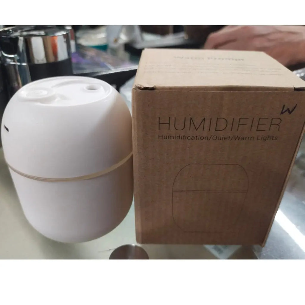 portable humidifier for dry skin hydration